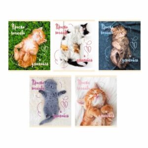 Тетрадь 48 л. клетка Эксмо Погладь котика