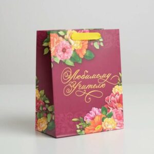 Пакет подарочный бумажный 18х23см  УЧИТЕЛЮ