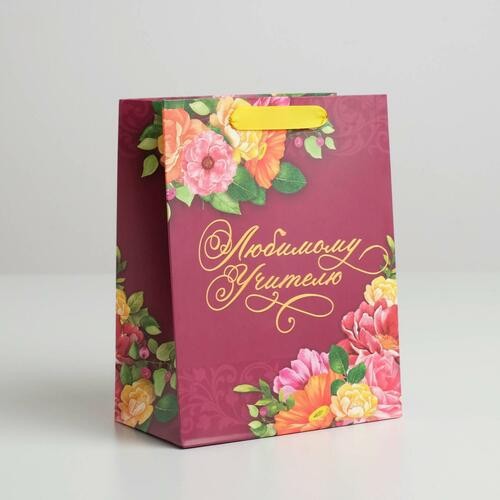 Пакет подарочный бумажный 18х23см  УЧИТЕЛЮ