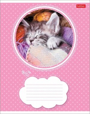 Тетрадь 18л.линия Hatber Котята