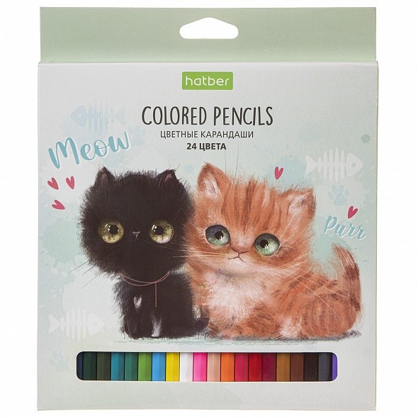 Карандаши цветные Hatber ECO Кошарики 24цв.