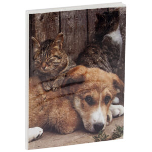 Фотоальбом 36 фото 10х15см, ArtSpace Friends, мягкая обложка