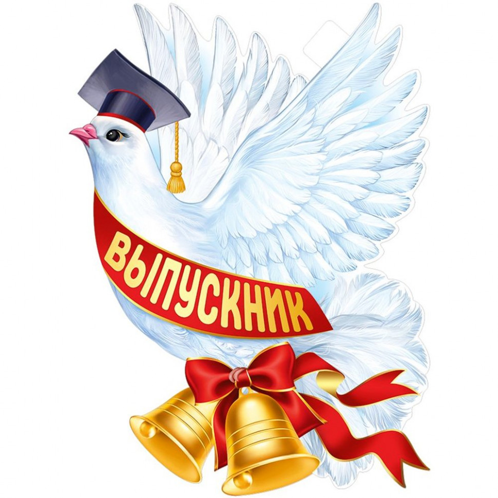 Плакат А2 Голубь Выпускник