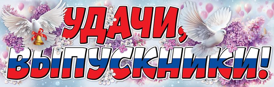 Плакат-полоска Удачи,_выпускники!