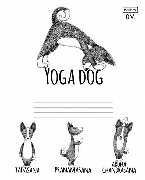 Тетрадь 24 л. линия Hatber Animals Yoga