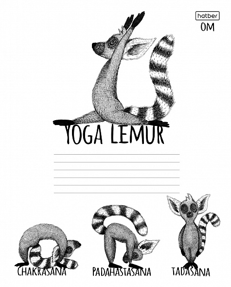 Тетрадь 24 л. линия Hatber Animals Yoga