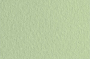 Бумага для пастели Fabriano Tiziano А4 160г/м2 Светло-зеленый 1л.