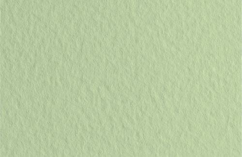 Бумага для пастели Fabriano Tiziano А4 160г/м2 Светло-зеленый 1л.