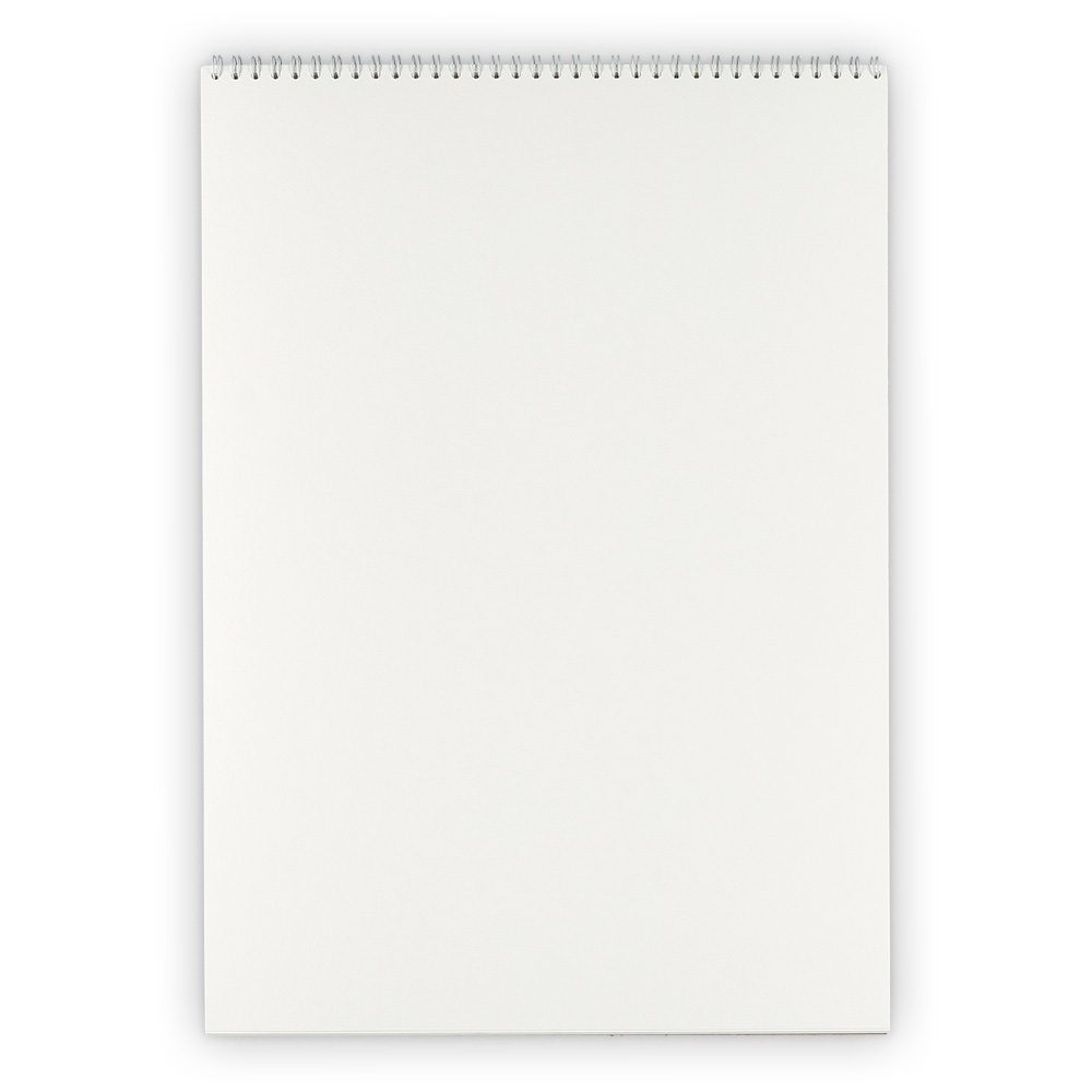 Альбом для акварели А3 20л. VISTA-ARTISTA 200г/м2, на спирали