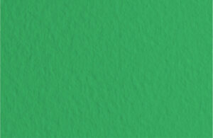 Бумага для пастели Fabriano Tiziano А4 160г/м2 Травяной 1л.