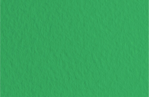 Бумага для пастели Fabriano Tiziano А4 160г/м2 Травяной 1л.