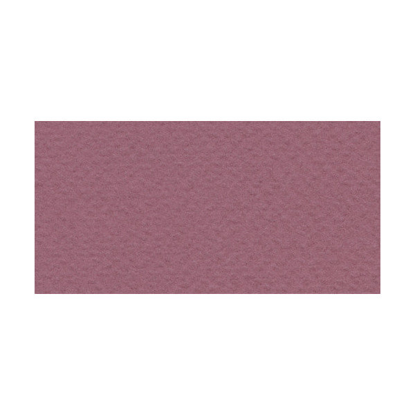 Бумага для пастели Fabriano Tiziano 50х65 см 160г/м2 Фиолетовый 1л.