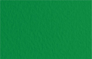 Бумага для пастели Fabriano Tiziano 50х65 см 160г/м2 Темно-зеленый 1л.
