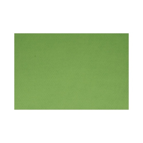 Бумага для пастели Fabriano Tiziano А4 160г/м2 Фисташковый 1л.