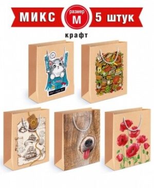 Пакет подарочный бумажный крафт микс М-11 (ТМ Хоро