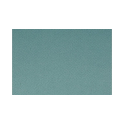 Бумага для пастели Fabriano Tiziano А4 160г/м2 Темно-шалфейный 1л.