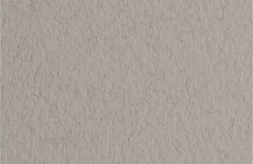 Бумага для пастели Fabriano Tiziano 50х65 см 160г/м2 Серый теплый 1л.