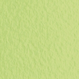 Бумага для пастели Fabriano Tiziano 50х65 см 160г/м2 Светло-зеленый 1л.