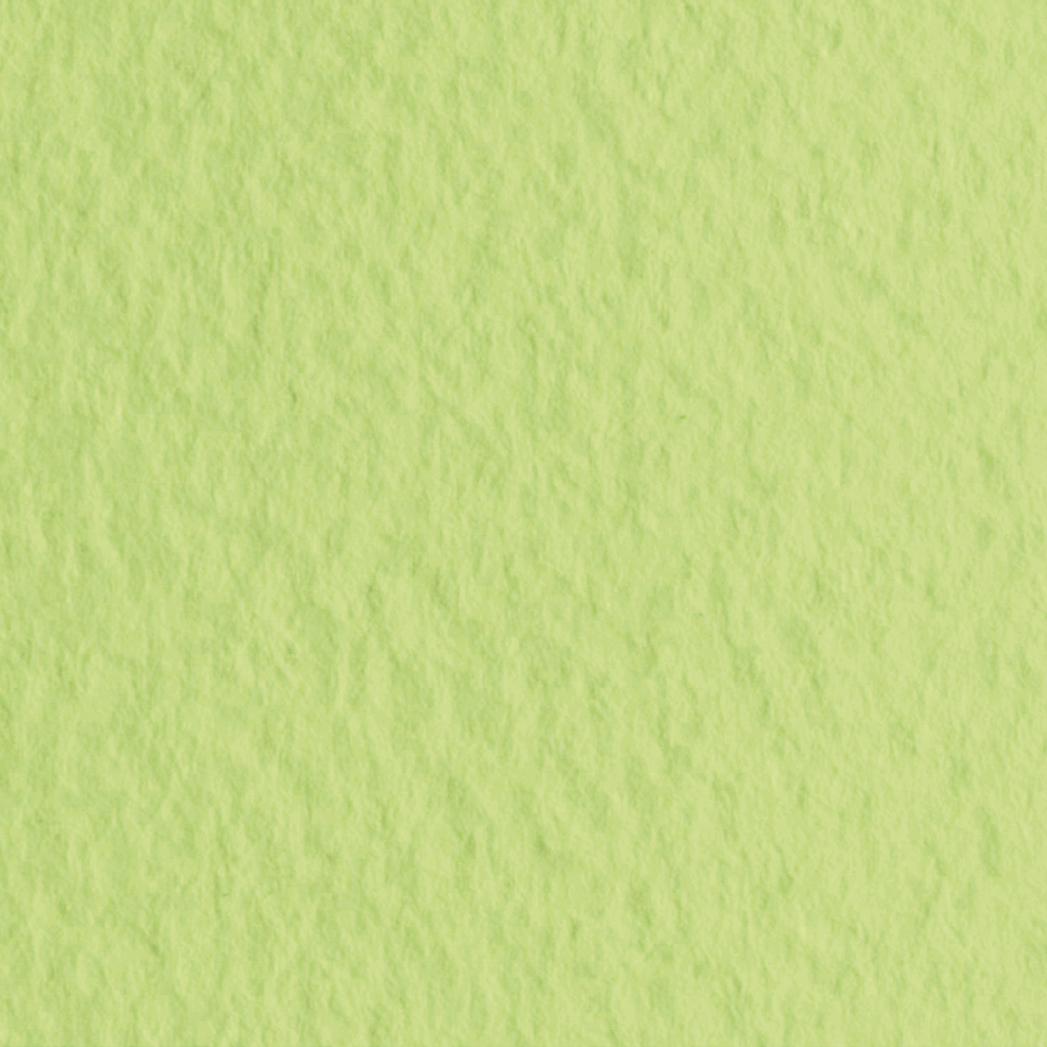 Бумага для пастели Fabriano Tiziano 50х65 см 160г/м2 Светло-зеленый 1л.