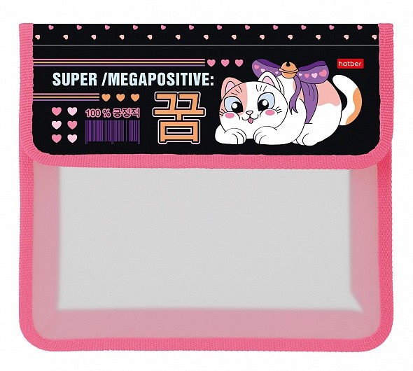 Папка для тетрадей на липучке А5 Hatber Кот-мечтат