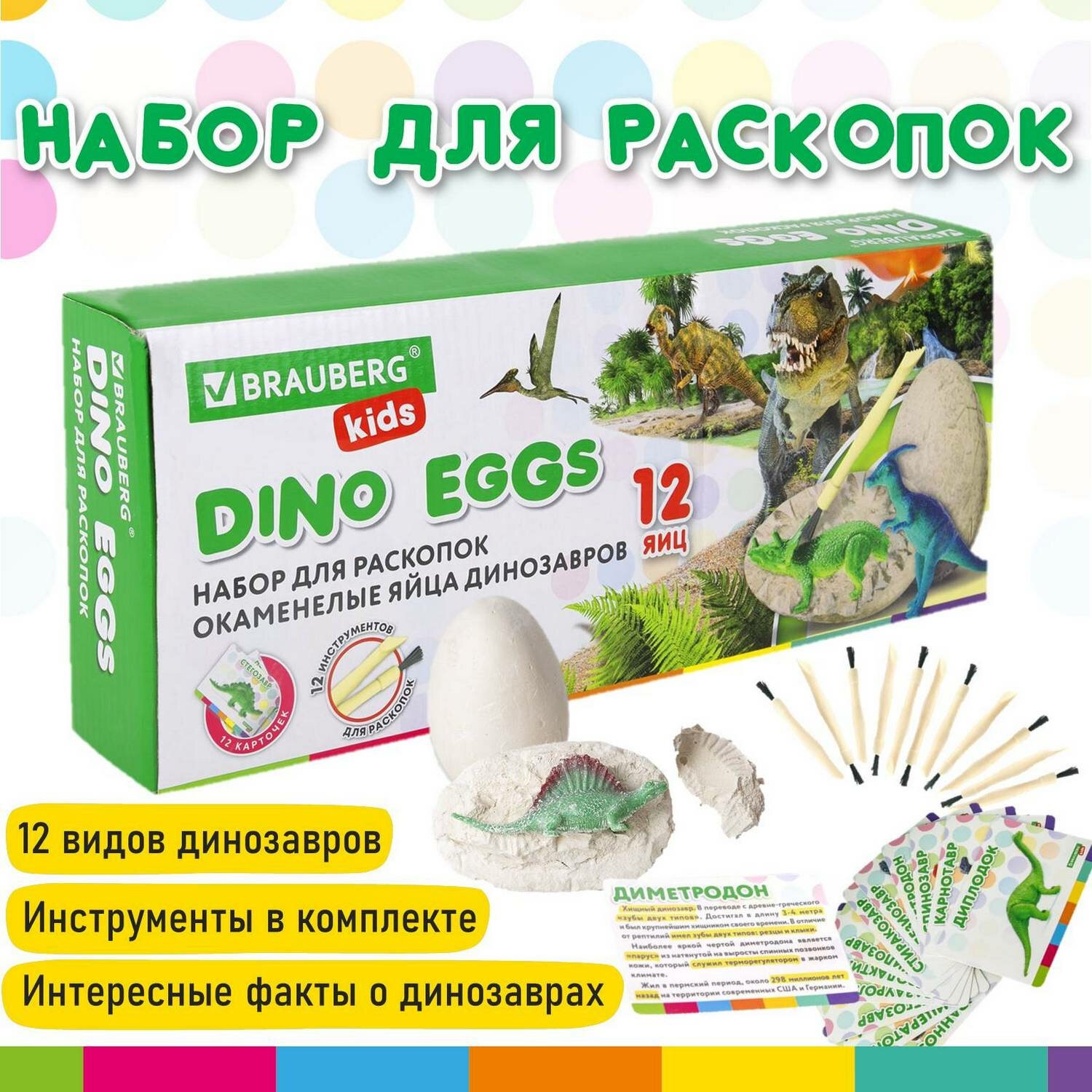 Набор для проведения раскопок BRAUBERG KIDS, 12 ви