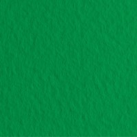 Бумага для пастели Fabriano Tiziano 50х65 см 160г/м2 Травяной 1л.