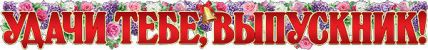 Гирлянда УДАЧИ ТЕБЕ, ВЫПУСКНИК!