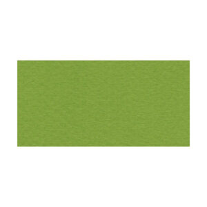 Бумага для пастели Fabriano Tiziano 50х65 см 160г/м2 Фисташковый 1л.