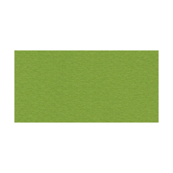 Бумага для пастели Fabriano Tiziano 50х65 см 160г/м2 Фисташковый 1л.