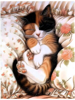 Алмазная мозаика 30х40см Рыжий кот Котик на подушке