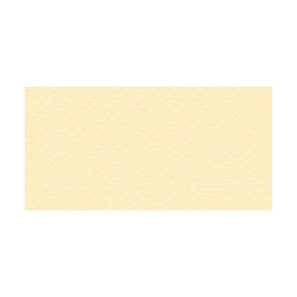 Бумага для пастели Fabriano Tiziano 50х65 см 160г/м2 Банановый 1л.