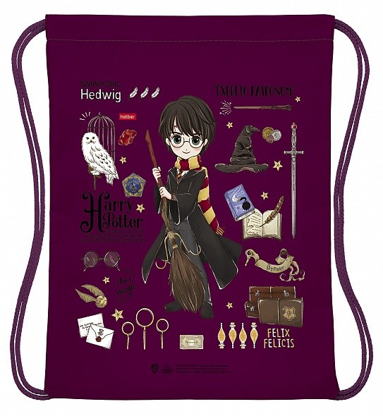 Сумка для обуви Hatber Гарри Поттер 33х42см