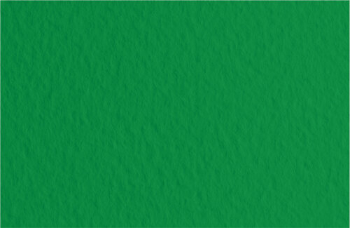 Бумага для пастели Fabriano Tiziano А4 160г/м2 Темно-зеленый 1л.