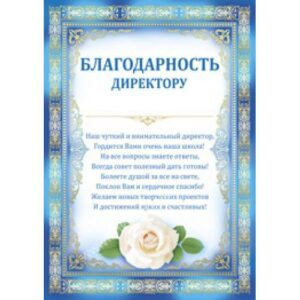 Благодарность директору