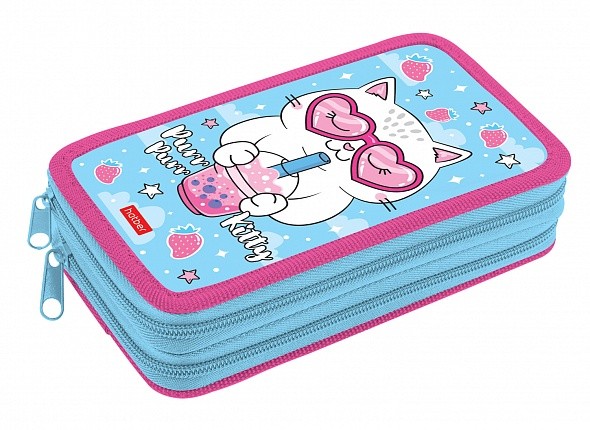 Пенал 2отд. Hatber 190х110мм  Catcorn