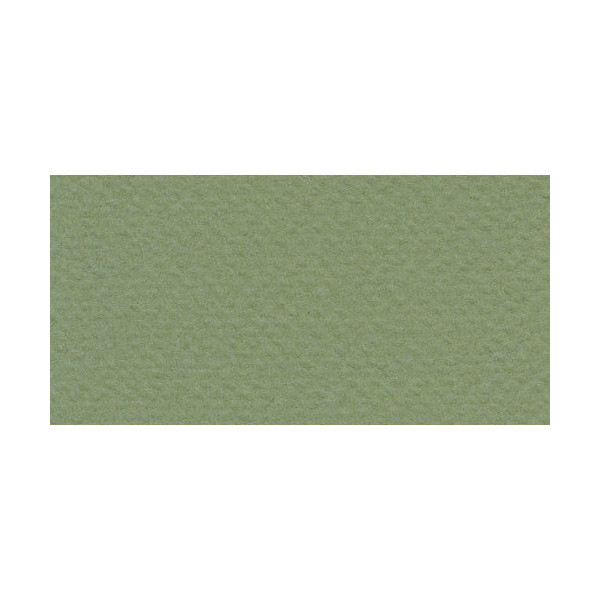 Бумага для пастели Fabriano Tiziano 50х65 см 160г/м2 Оливковый 1л.