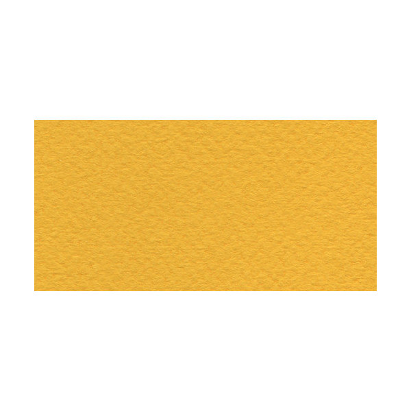 Бумага для пастели Fabriano Tiziano 50х65 см 160г/м2 Под золото 1л.