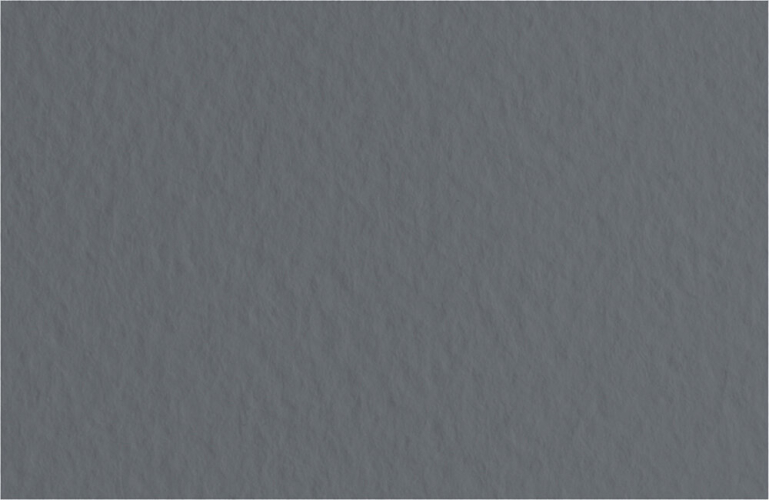 Бумага для пастели Fabriano Tiziano 50х65 см 160г/м2 Антрацитовый 1л.