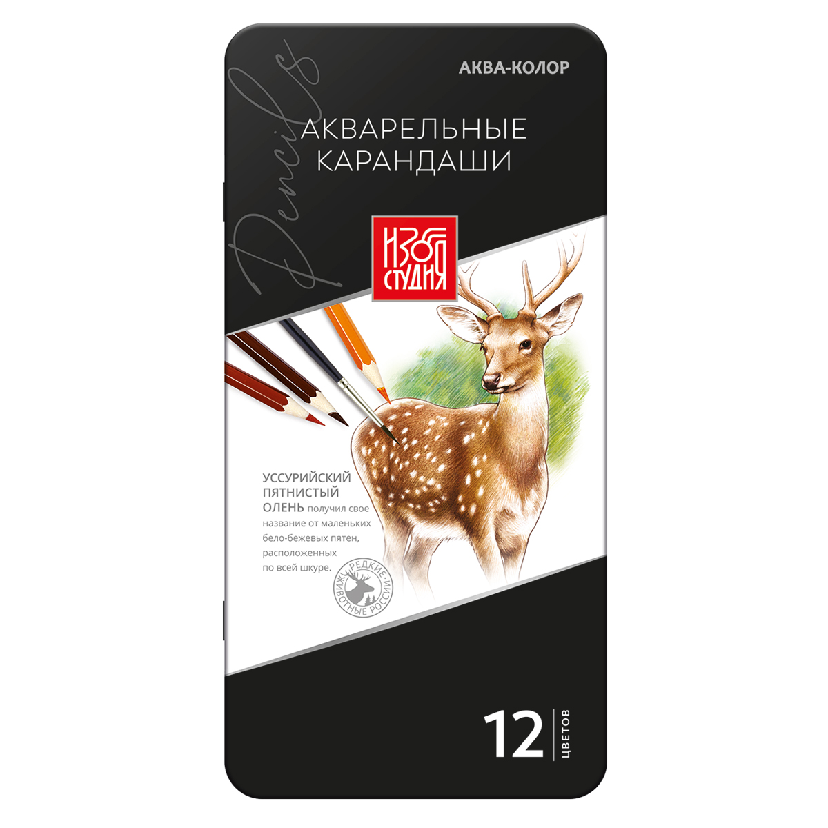 Карандаши цветные Аква-колор Изостудия акварельные 12 цв. в металлической коробке