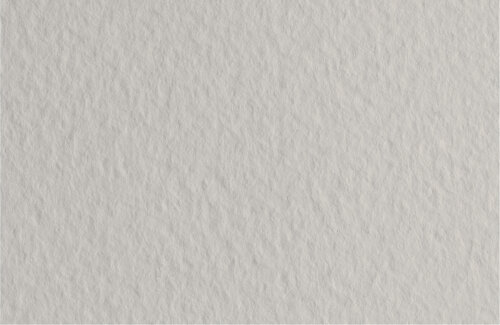 Бумага для пастели Fabriano Tiziano А4 160г/м2 Серый светлый 1л.