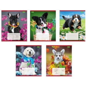 Тетрадь 12 л.линия Hatber Класс С Верный друг