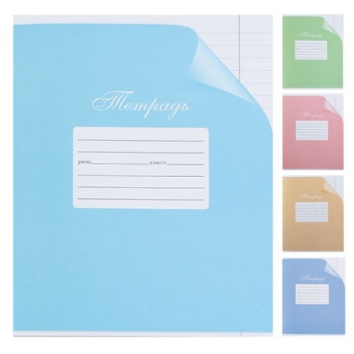 Тетрадь 12 л.линия Hatber Класс С С уголком