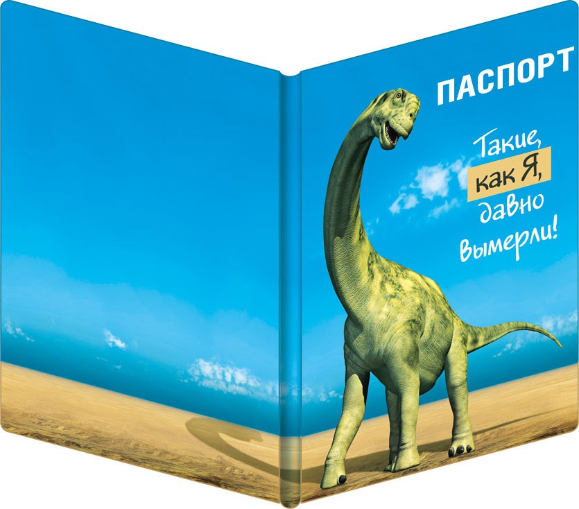 Обложка для паспорта