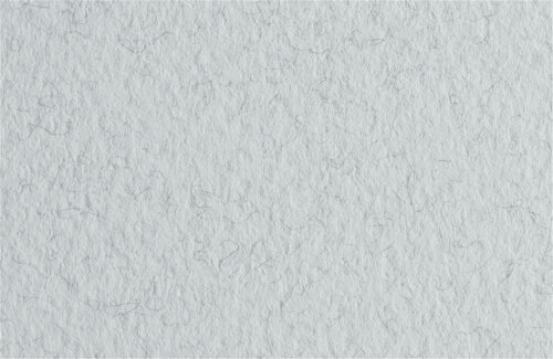 Бумага для пастели Fabriano Tiziano 50х65 см 160г/м2 Цвет инея 1л.