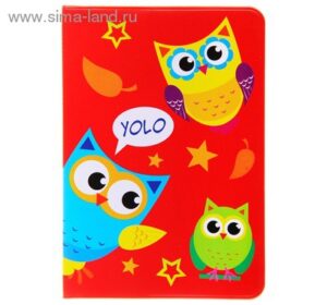 Обложка для паспорта СОВУШКИ