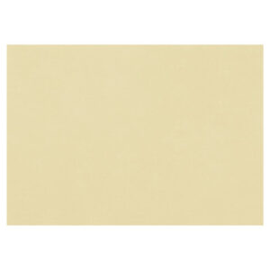 Бумага для пастели Fabriano Tiziano 50х65 см 160г/м2 Песочный 1л.