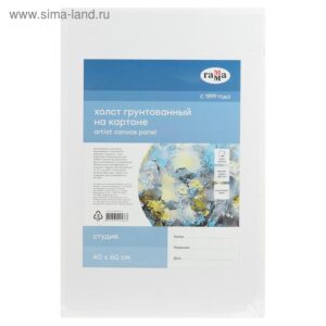 Холст на картоне Гамма Студия 40х60см, 100% хлопок, 280г/м2, мелкое зерно