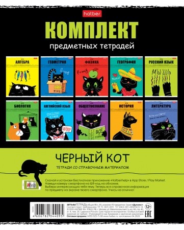 Тетрадь 48л. предметная КОМПЛЕКТ 10шт. Hatber Черн