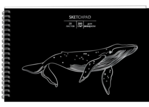 Скетчбук 170х250мм 20л Эксмо Whale, 200г/м2 спираль