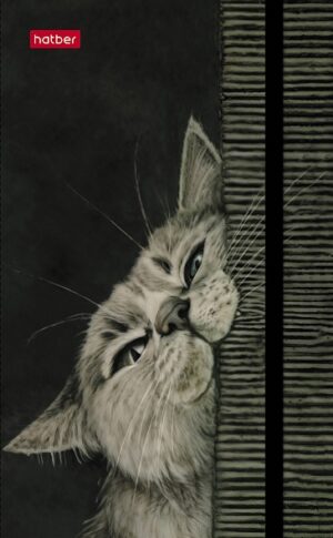 Записная книжка 80-50л. А6 Hatber Мяу-Мяу гребень, резинка